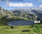 Европейский день парков